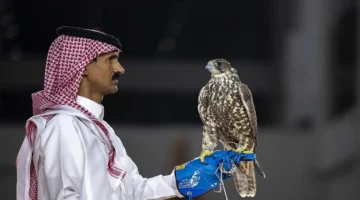 صقور منغولية تخطف الأنظار بصفقة ضخمة في معرض الصيد والصقور السعودي الدولي